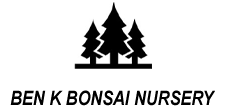 Ben K Garden Bonsai
